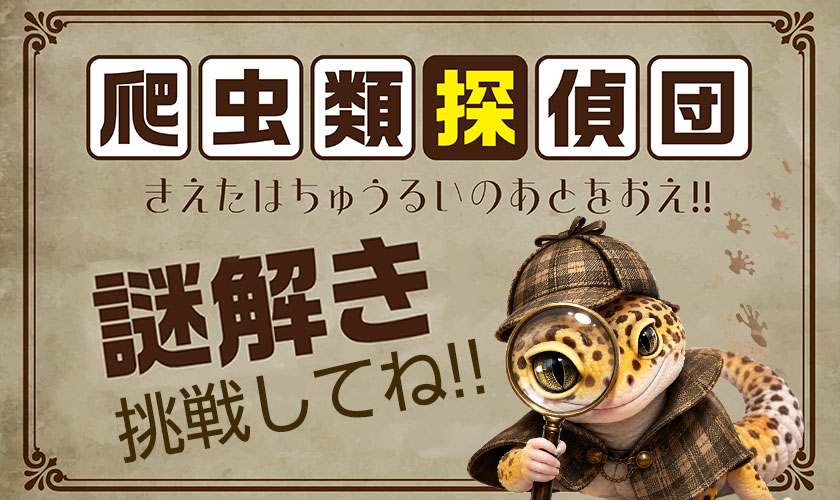 爬虫類探偵団謎解き