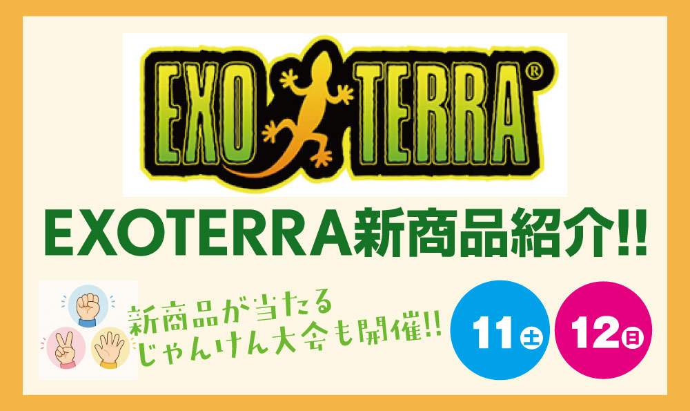 EXOTERRA新商品紹介