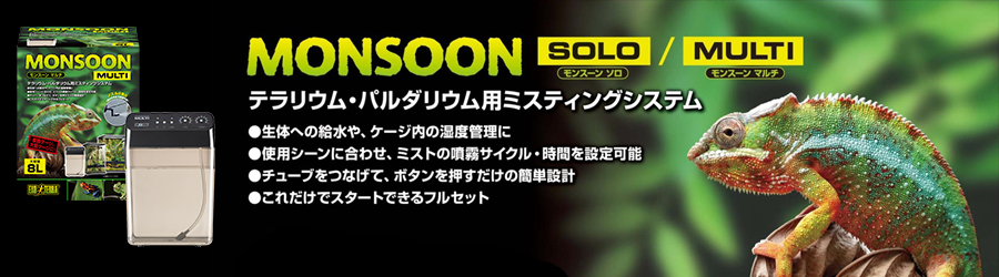 モンスーンマルチ