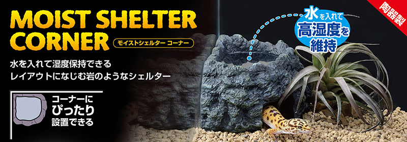 モイストシェルターコーナー