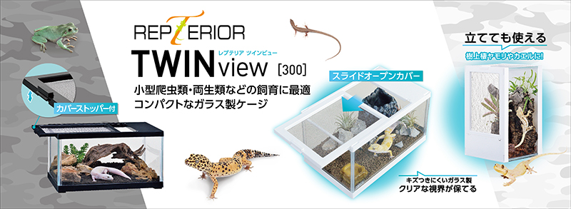 レプテリアツインビュー