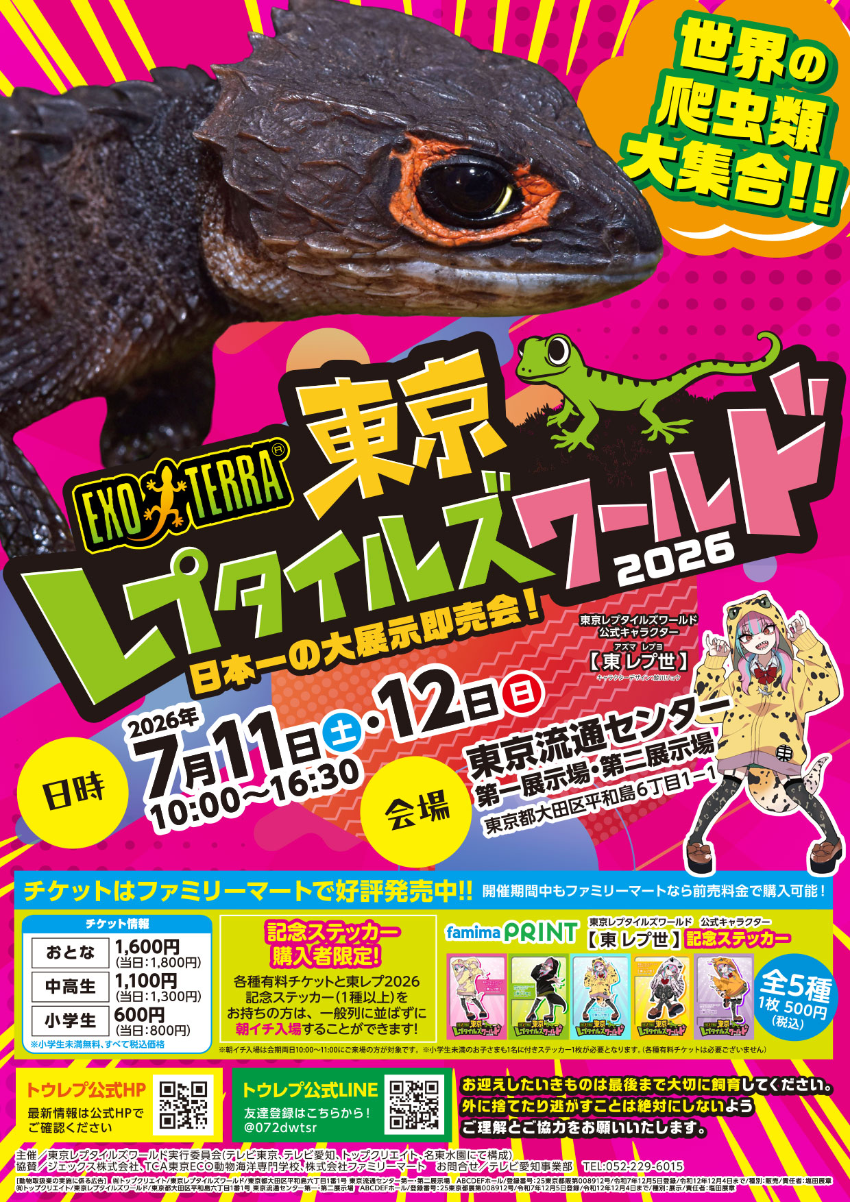 チラシ表
